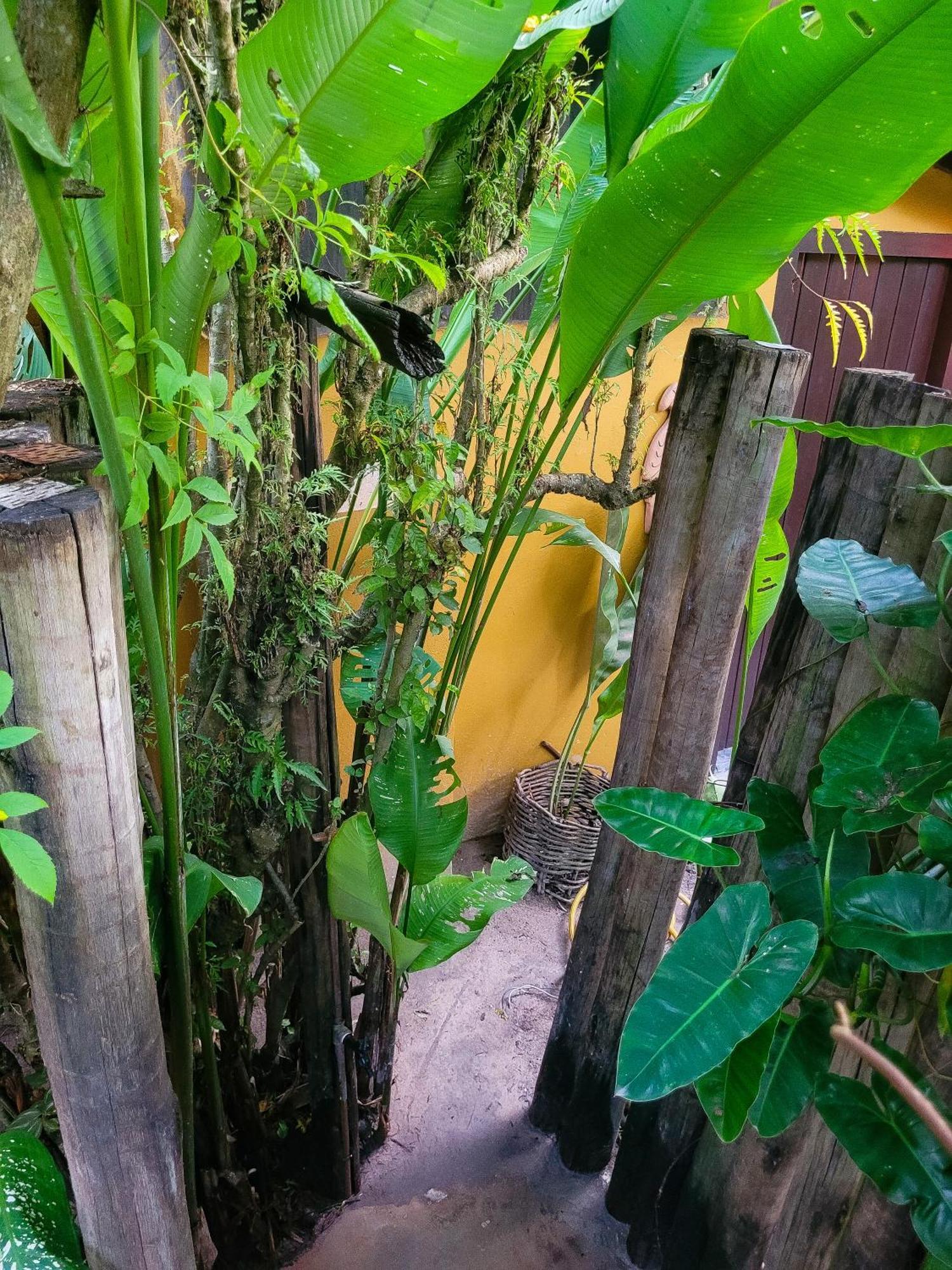 Pousada Raiz Forte Caraiva Exterior photo