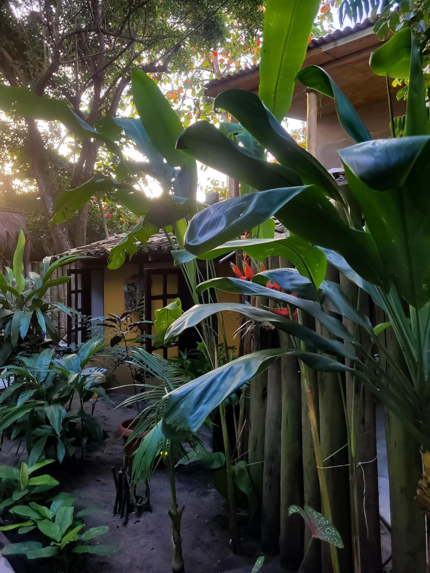 Pousada Raiz Forte Caraiva Exterior photo